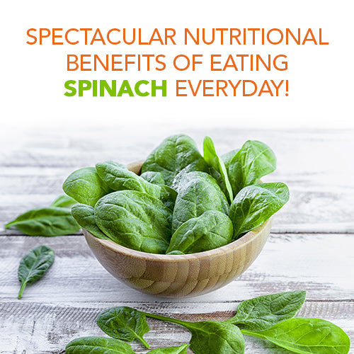 SPECTACULAR NUTRITIONAL BENEFITS OF EATING SPINACH EVERYDAY!