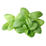 Buy cheap Fresh Mint Bunch 1pcs Online