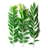 Buy cheap Curry Leaf Online