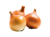 Buy cheap Loose Onion Online