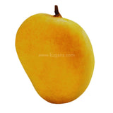 Buy cheap Alphonso Mango Single Online