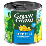 Buy cheap Gg Salt Free Corn 340gm Online