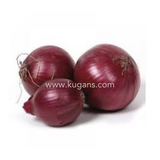 Buy cheap Bombay Onion 2kg Online