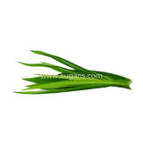 Buy cheap Ramba Leaf 1pcs Online