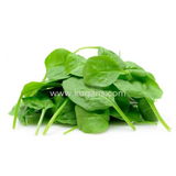 Buy cheap Fresh Spinach 1pcs Online