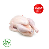 Buy cheap Fresh Baby Chicken Skin On Online