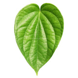 Buy cheap Pan Leaf 1pcs Online