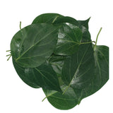 Buy cheap Kurunja Leaves Online